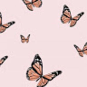 Meet your Posher, Iyahna